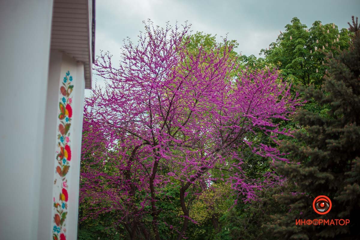 Весна нас ждет