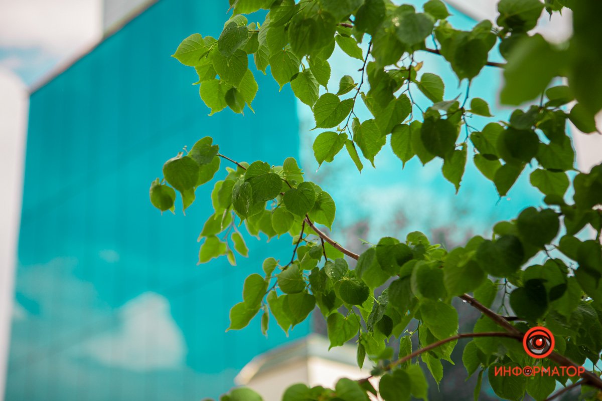 Скоро мы все сможем насладиться весной Скоро мы все сможем насладиться весной