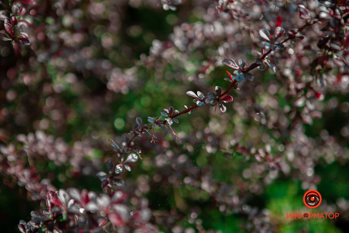 Наша область прекрасна Наша область прекрасна