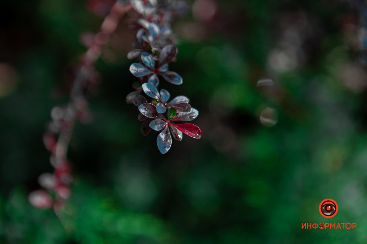 Обращайте внимание  Обращайте внимание