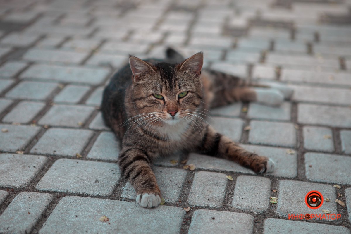 Загорает  Загорает