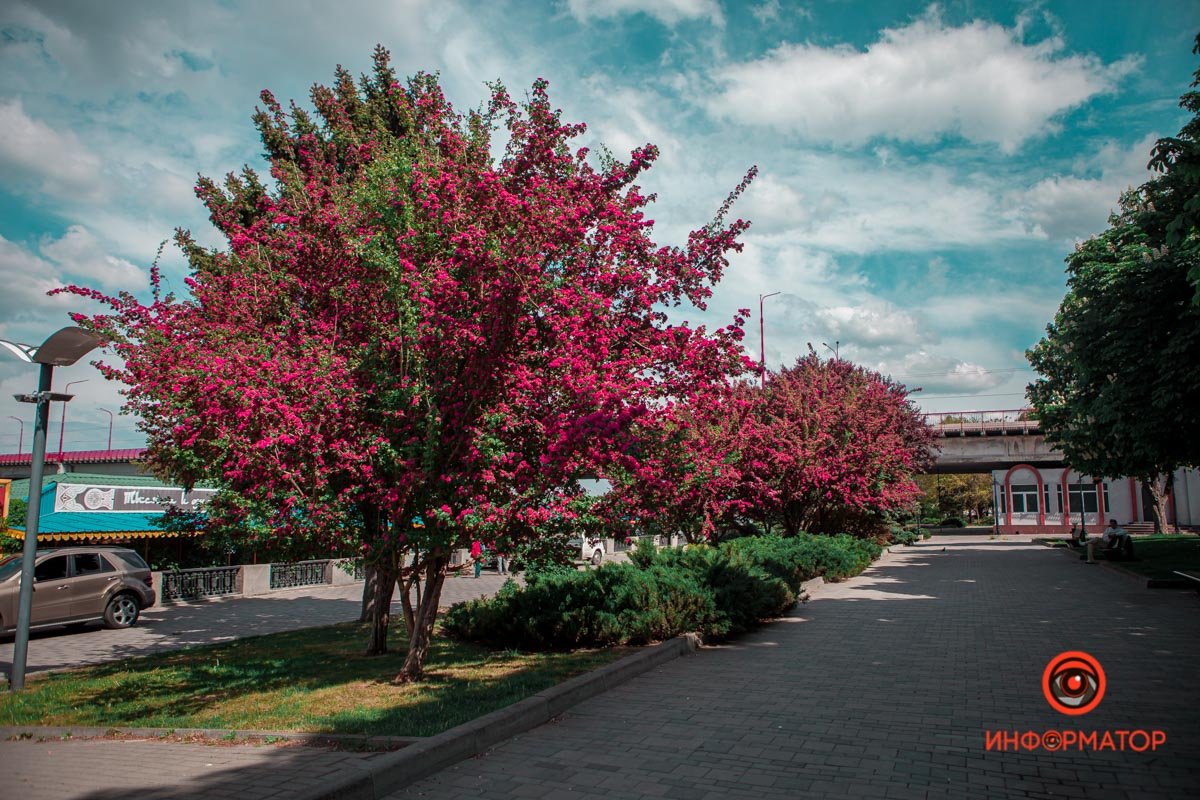 Яркая весна Яркая весна