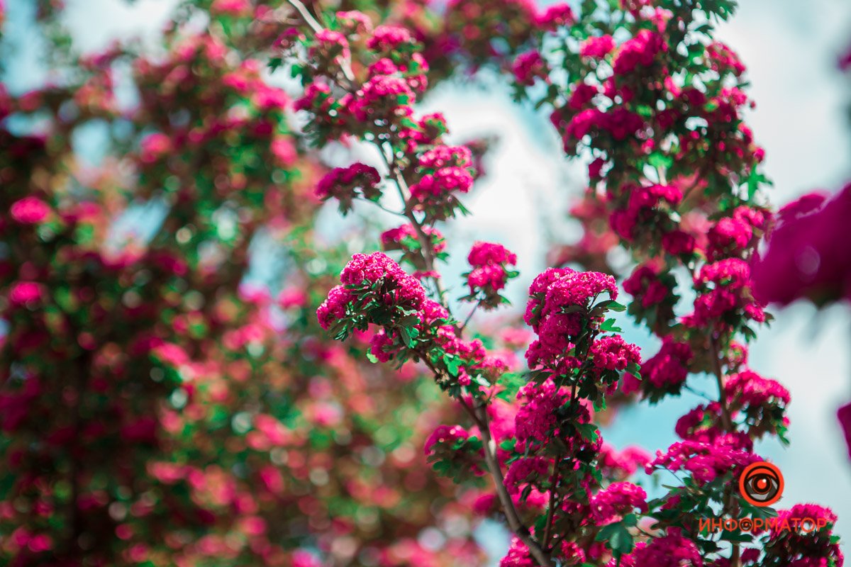 Немного фото для вашего рабочего стола Немного фото для вашего рабочего стола