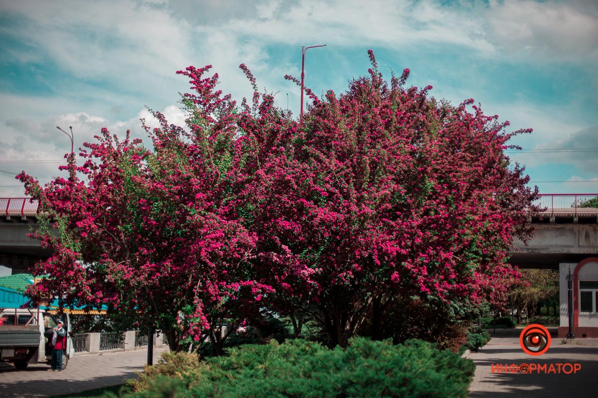 Умейте видеть красоту Умейте видеть красоту