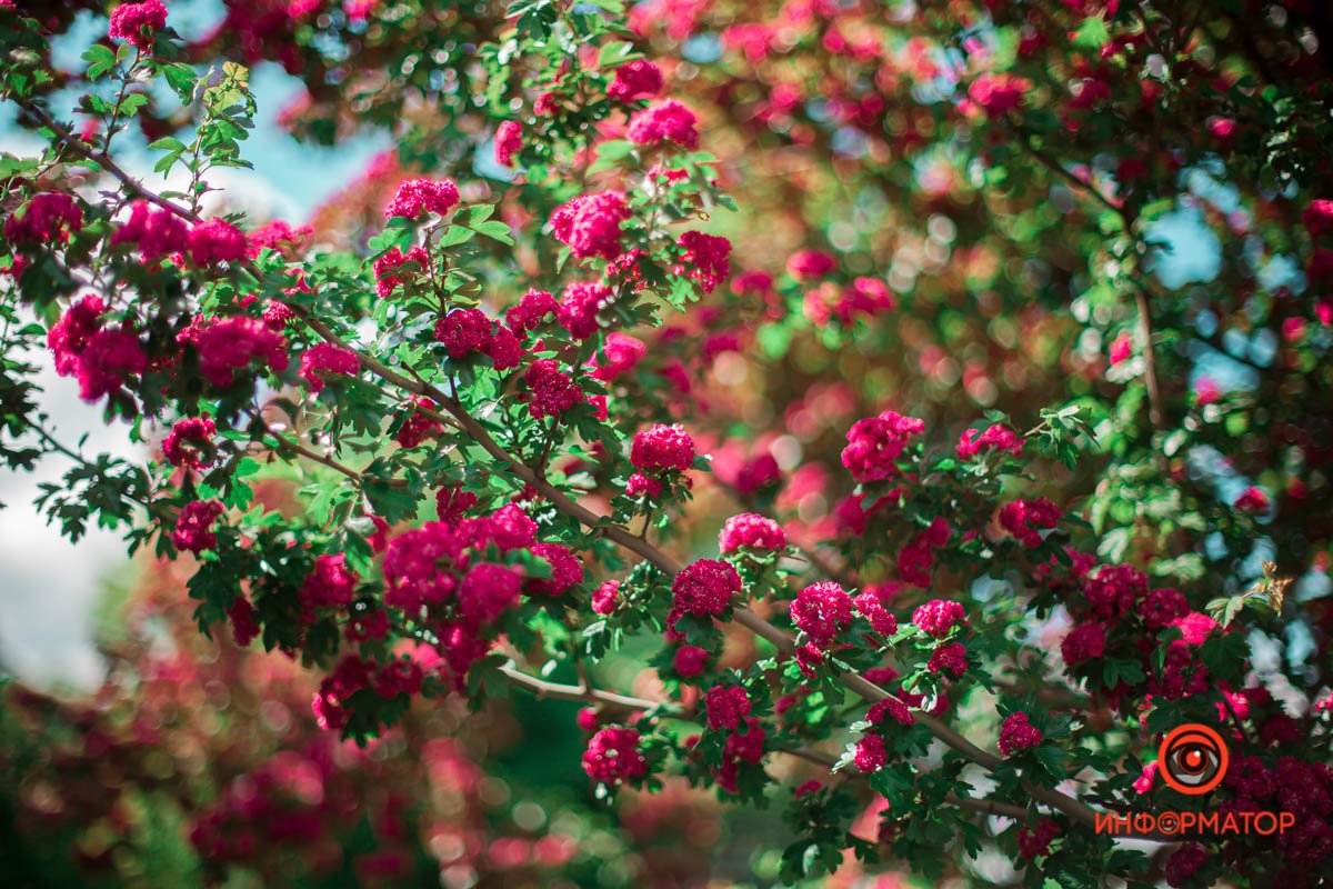 Удивительный уголок Удивительный уголок