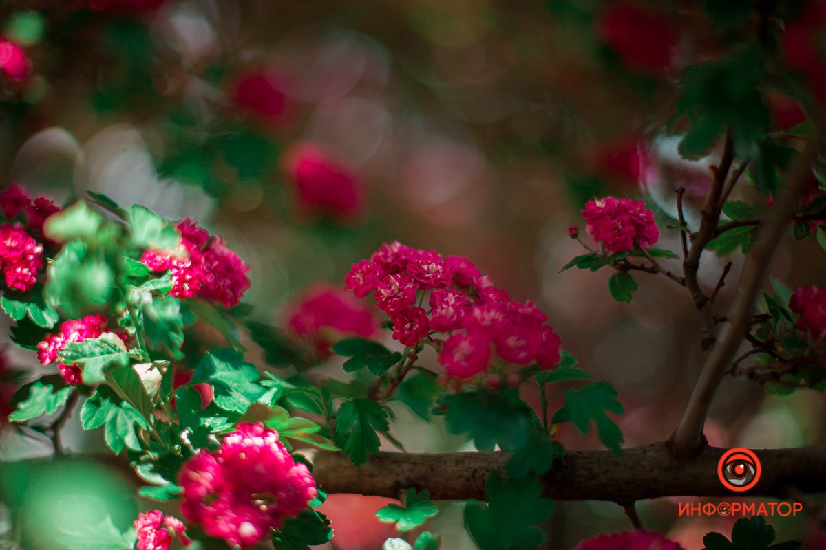 Весна зовет Весна зовет