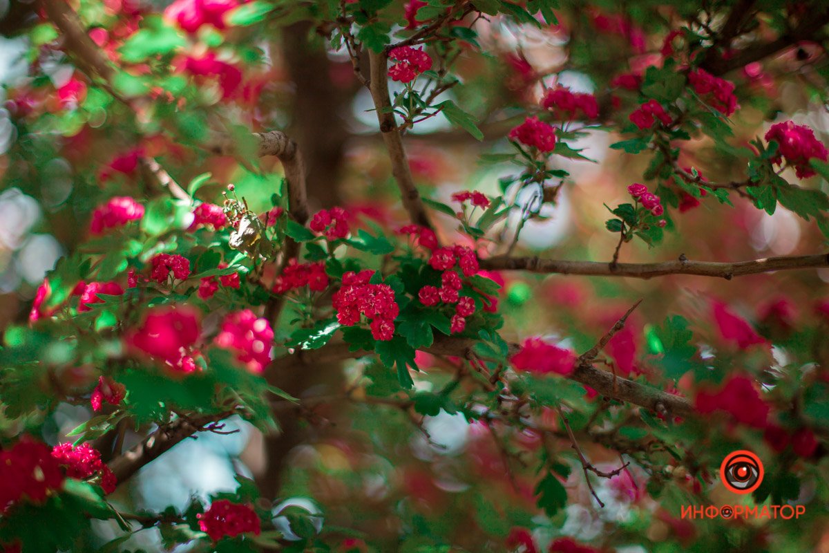 Вот и место для фото Вот и место для фото