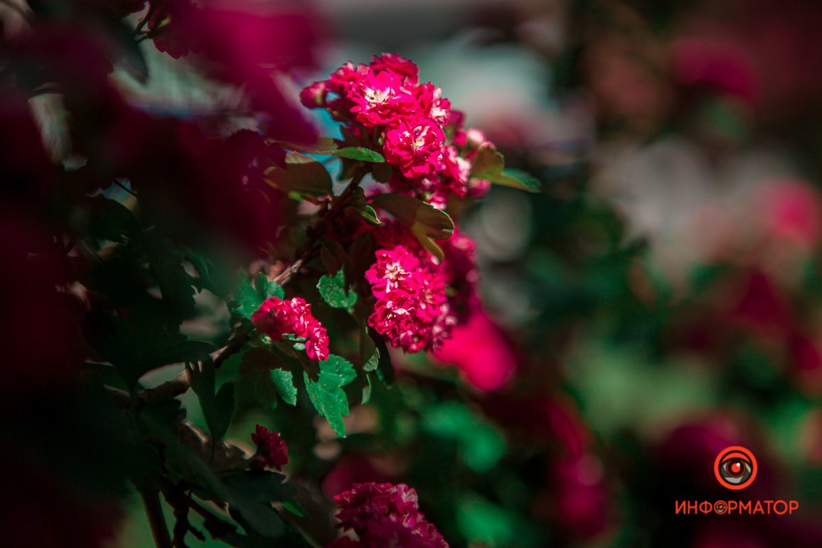 Можно смотреть вечно Можно смотреть вечно