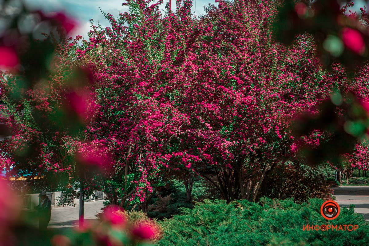 На набережной, недалеко от моста На набережной, недалеко от моста