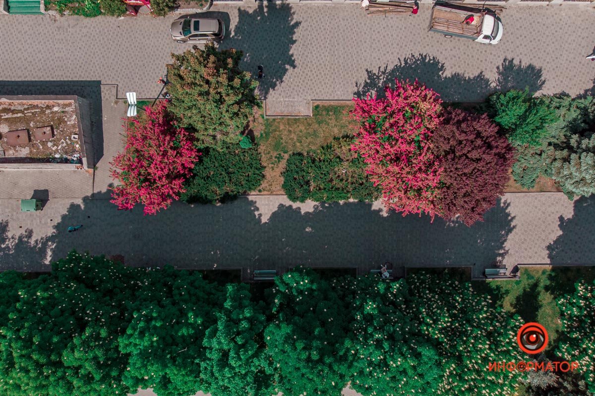 Вид сверху Вид сверху