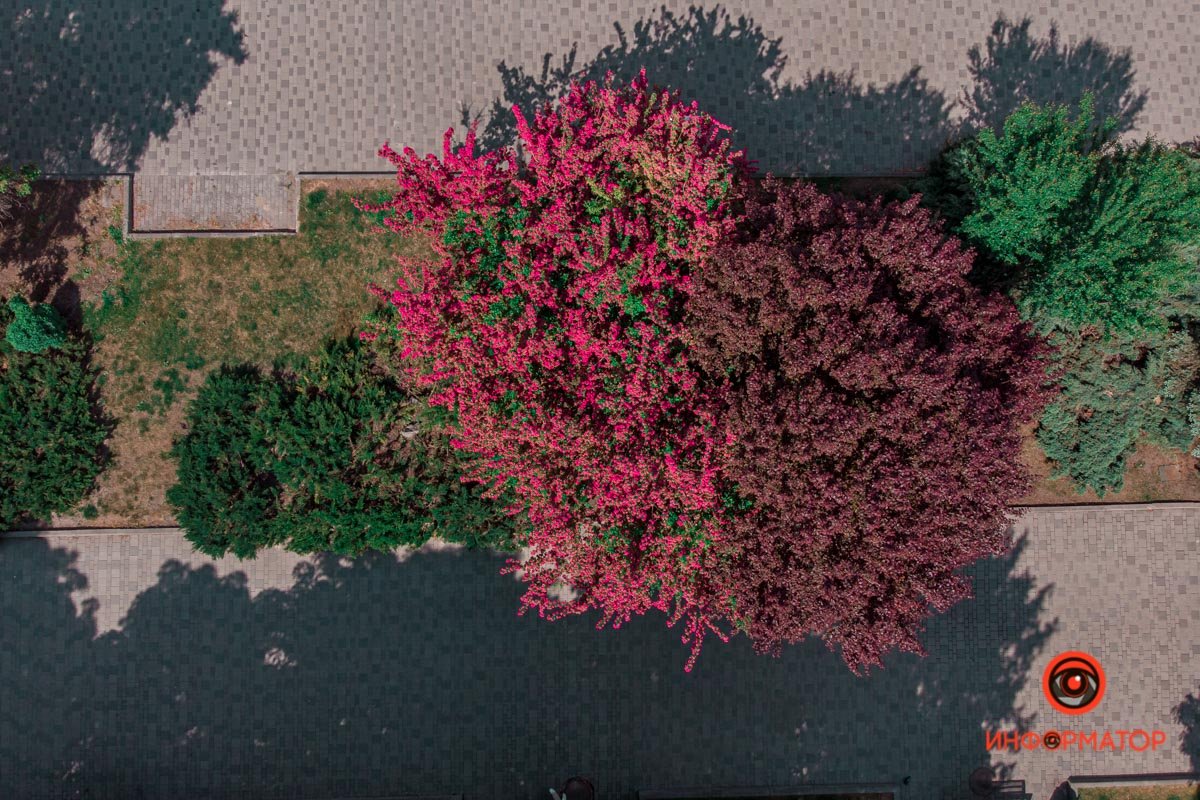 Где же ваши селфи? :) Где же ваши селфи? :)