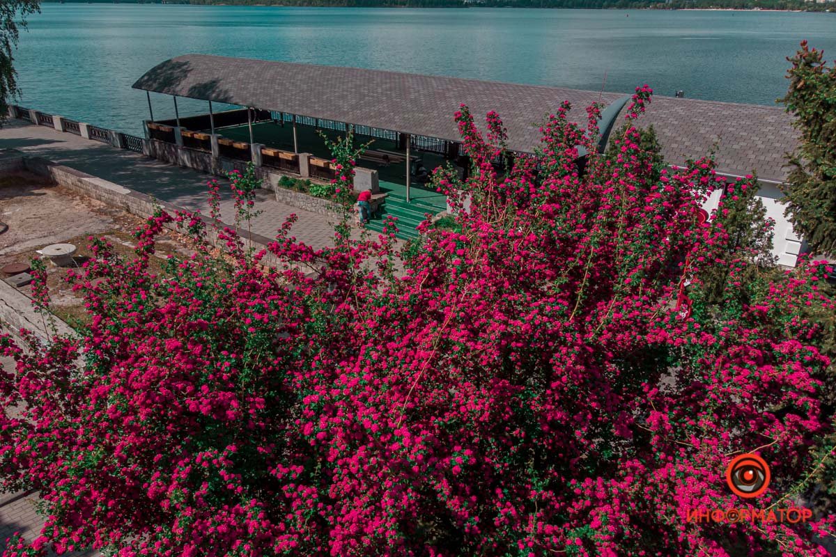 Яркая весна Яркая весна