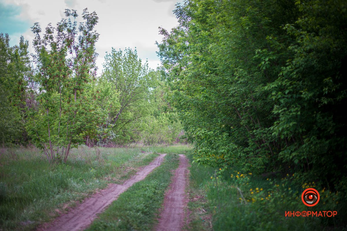 Куда-то вдаль Куда-то вдаль