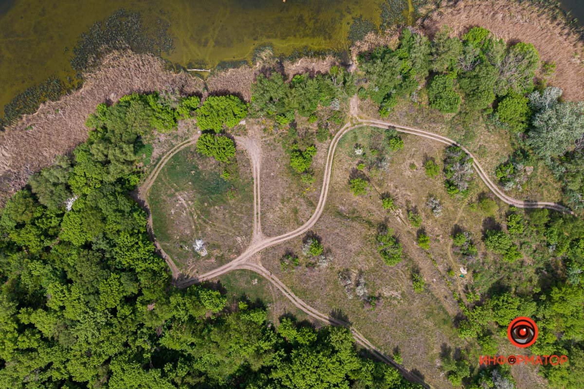 Скоро можно будет гулять Скоро можно будет гулять