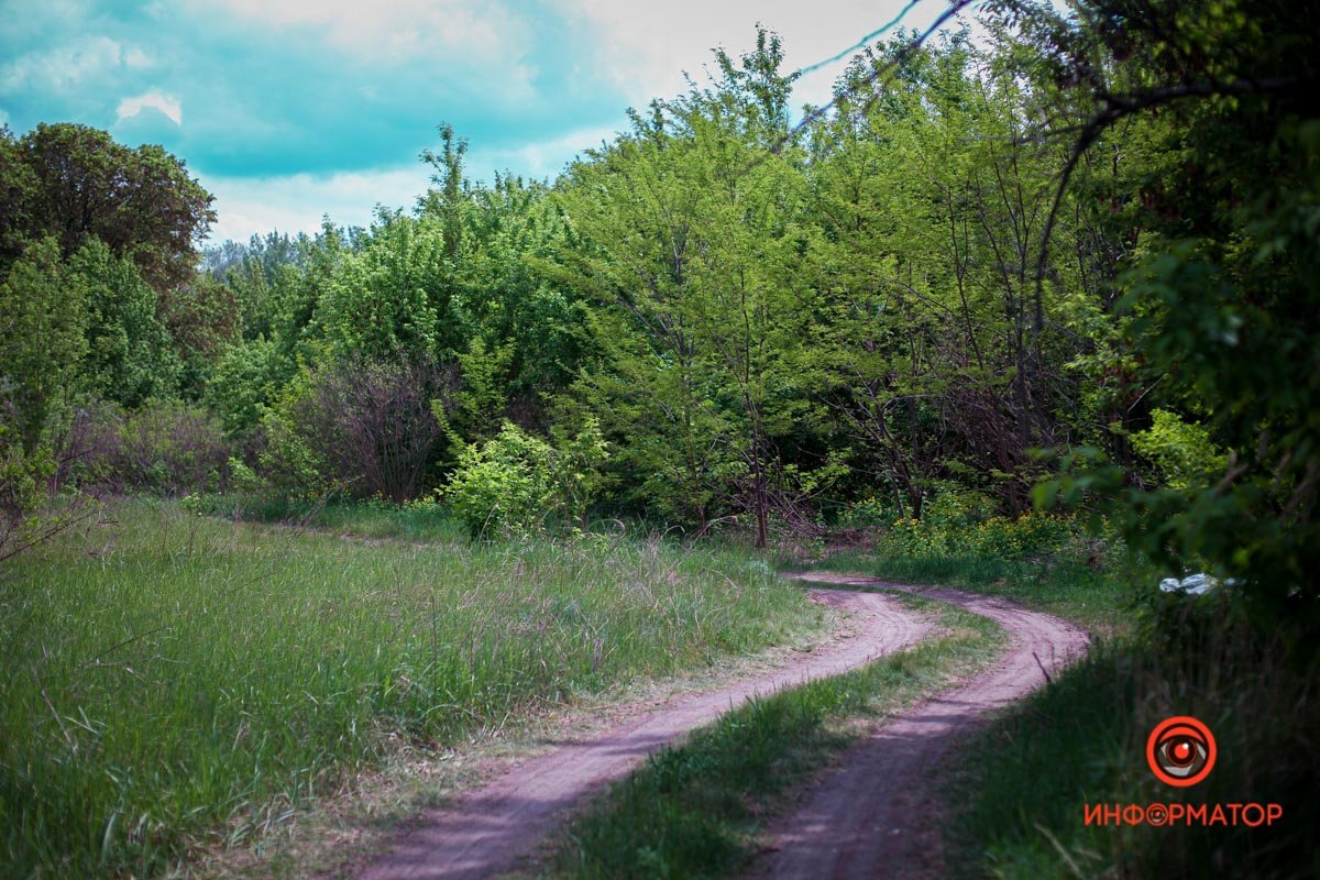 Весна прекрасна Весна прекрасна