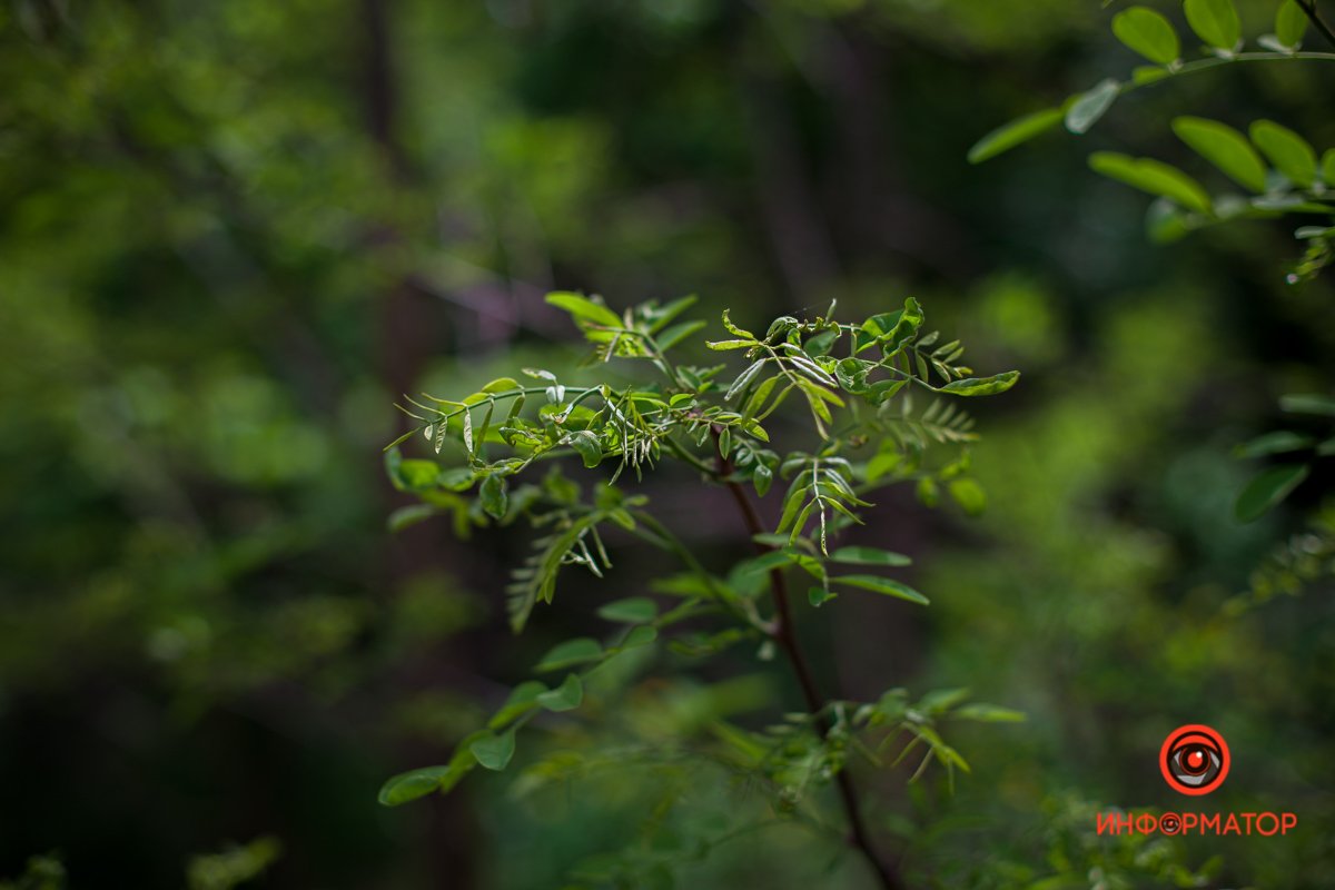Наш оператор - молодец Наш оператор - молодец