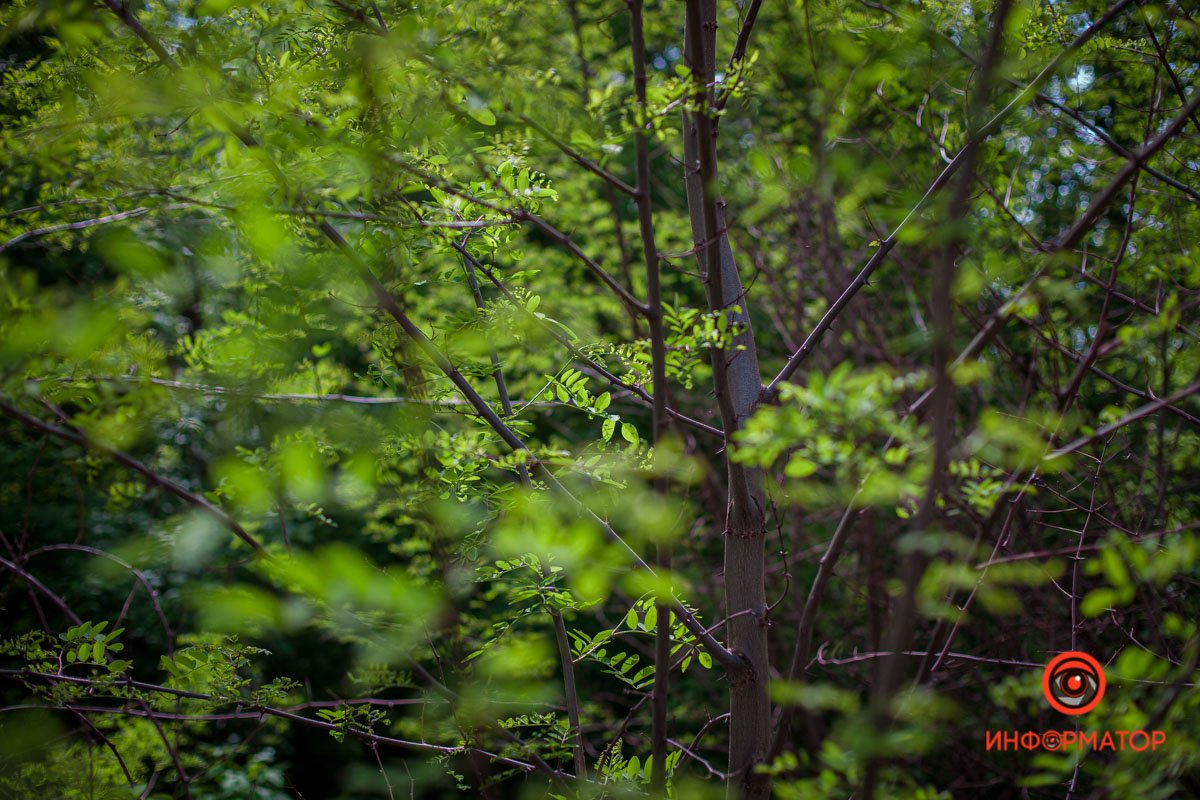 Скоро гулять! Скоро гулять!