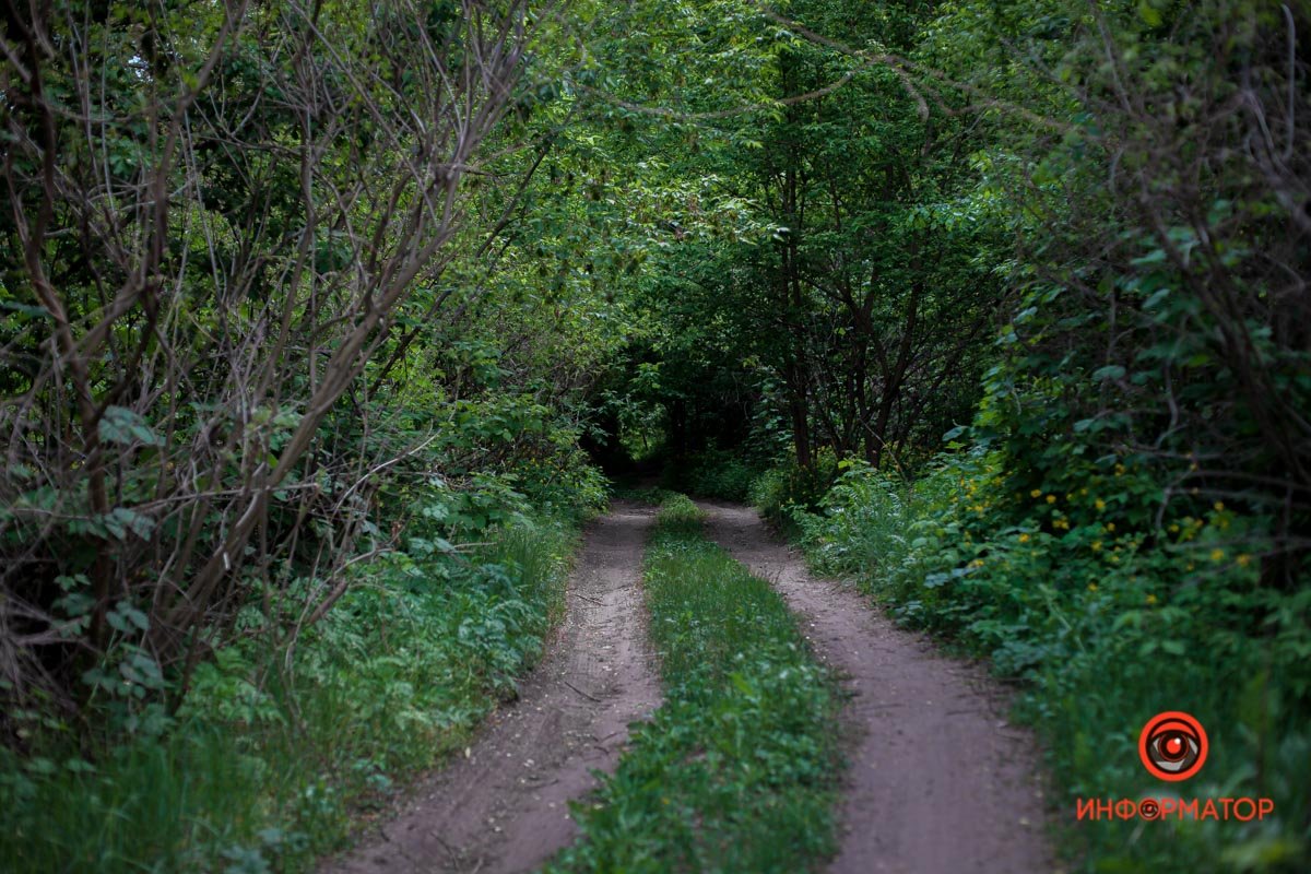 Хочется на природу Хочется на природу