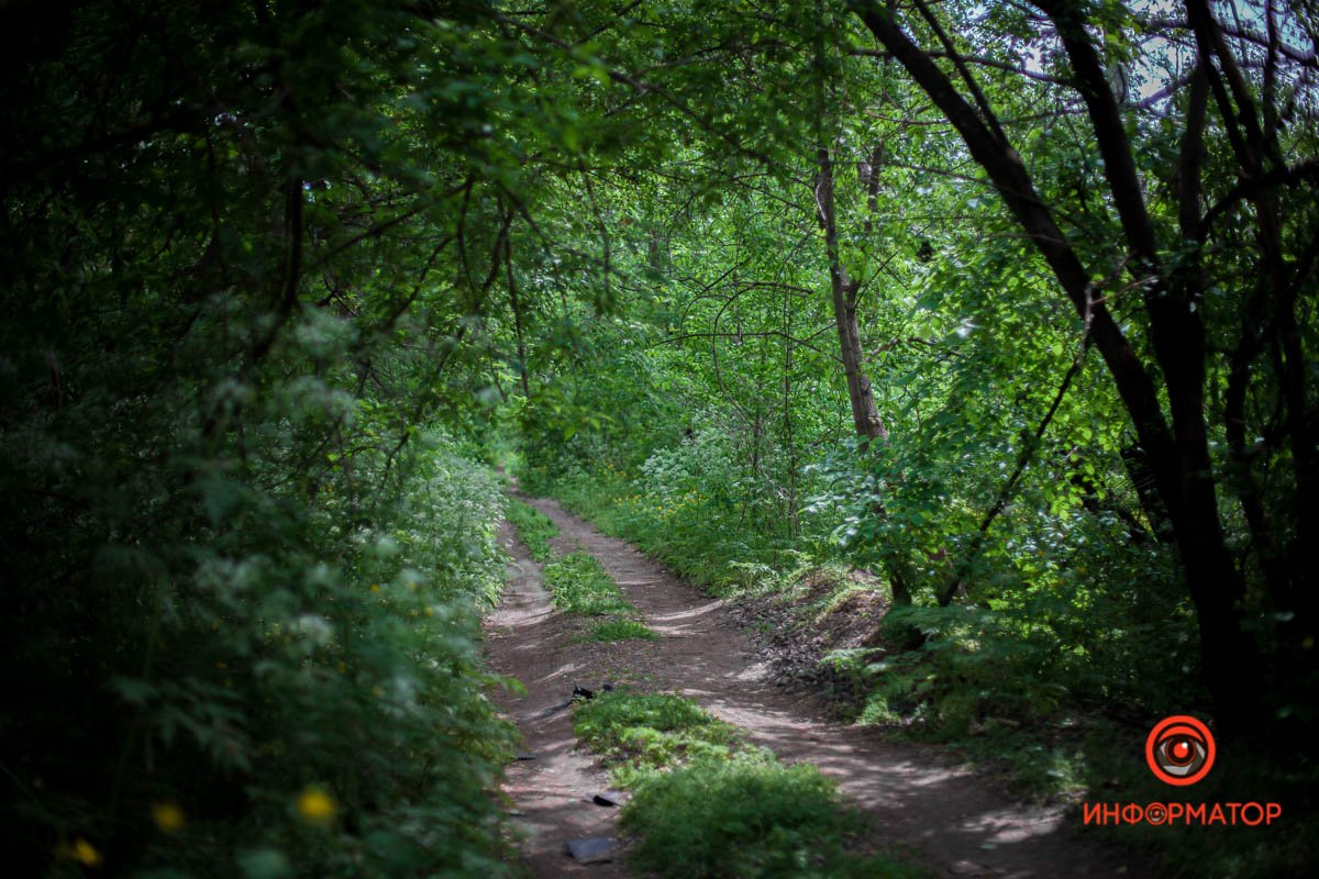 Днепр любит вас Днепр любит вас