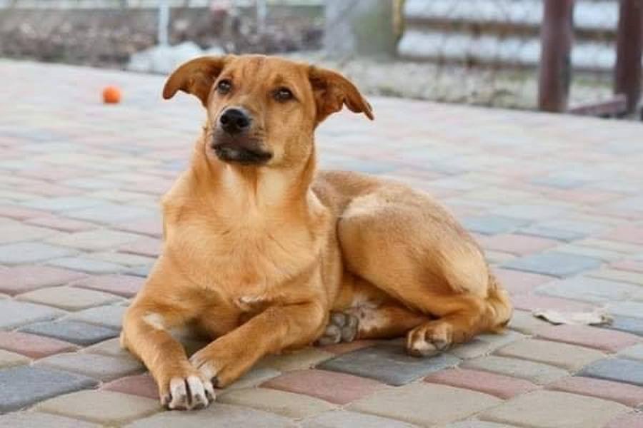 Мальчику 1,5 года Мальчику 1,5 года