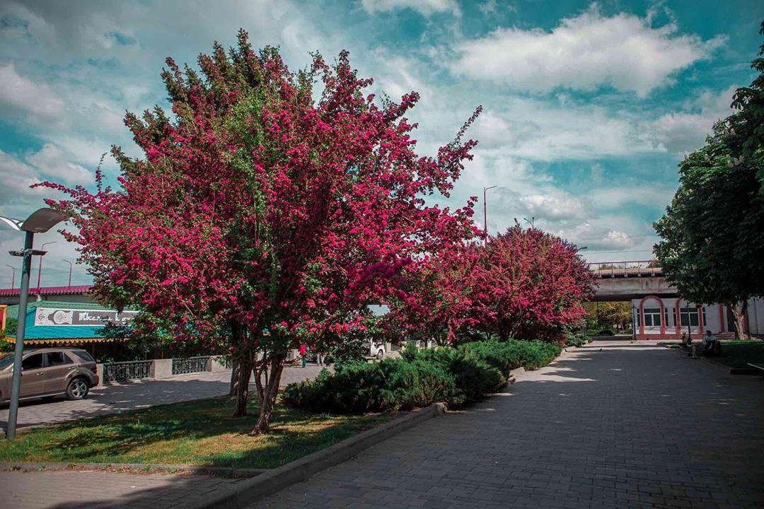 Фото: ruslana.lv Фото: ruslana.lv