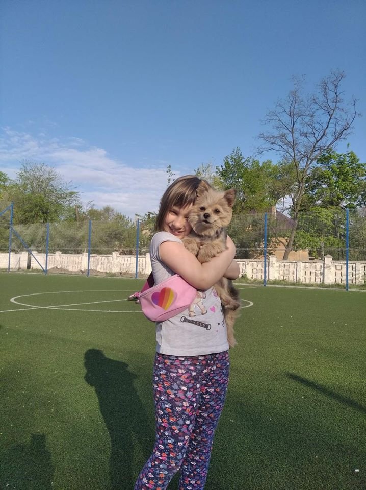 В Днепре пропало много животных: помогите найти 3