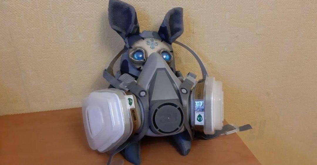 Фото: medcorpsdnipro