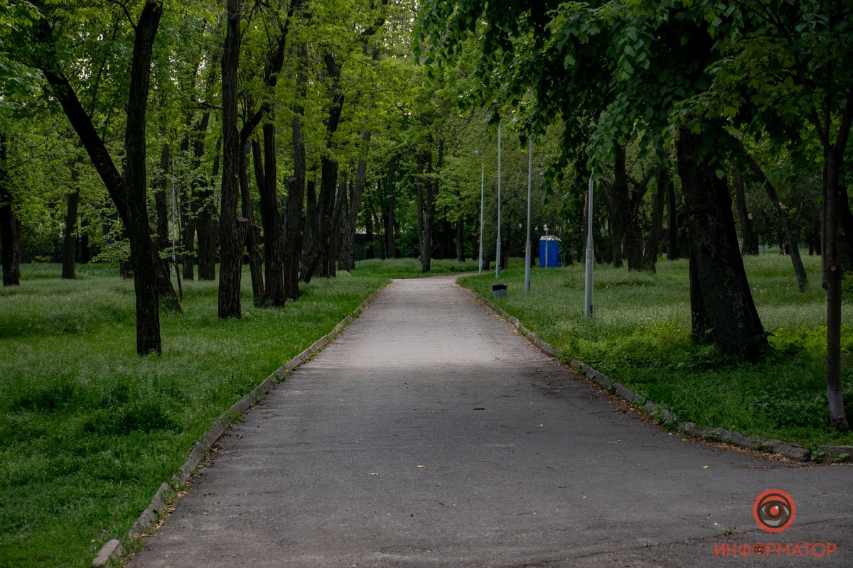 Как будто создана для бега Как будто создана для бега