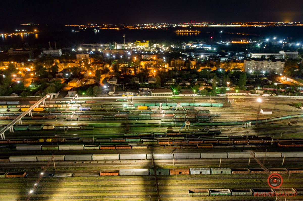 Змейки отдыхают