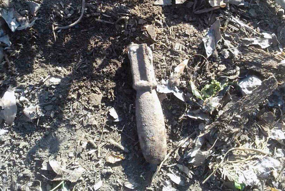 Никто не пострадал