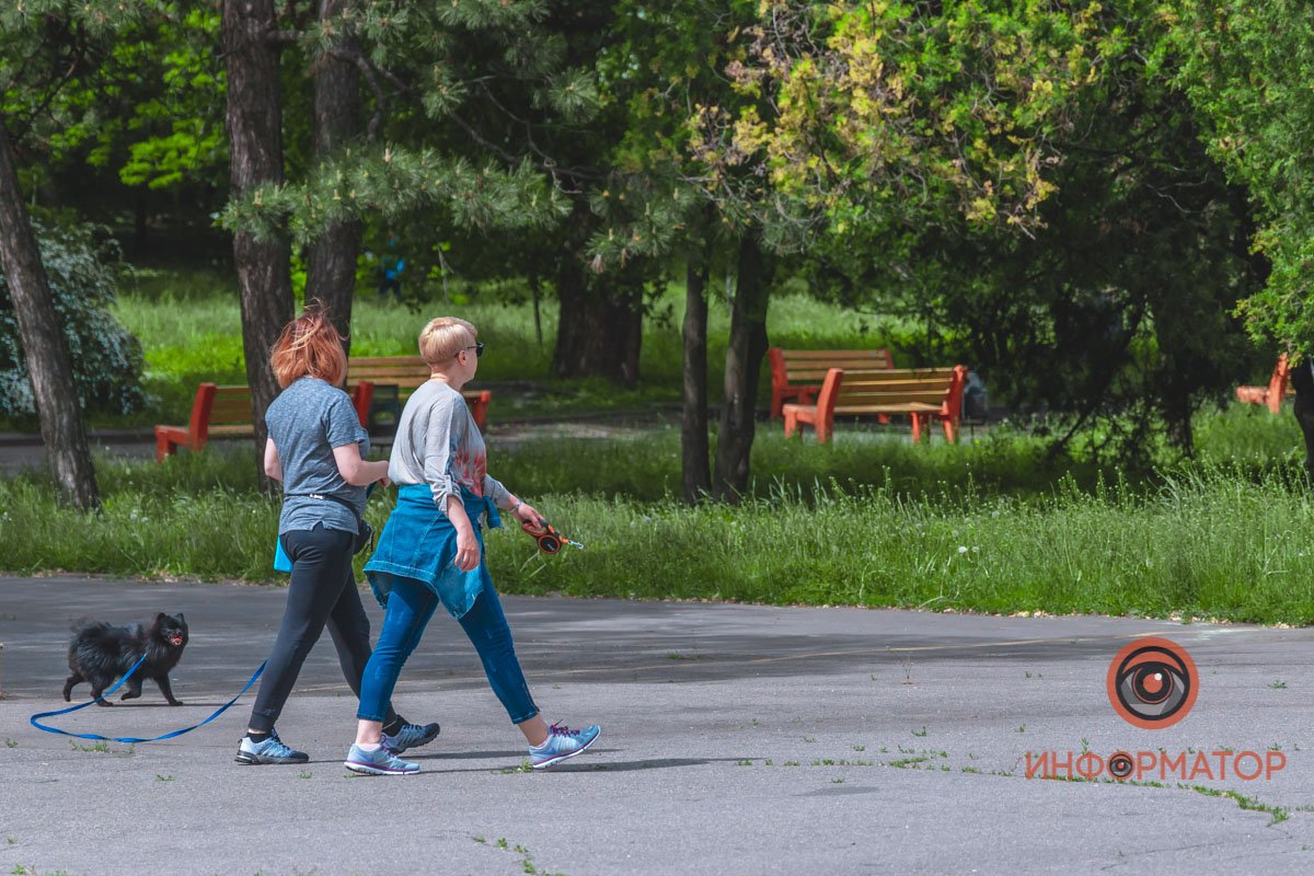 Собакам можно Собакам можно