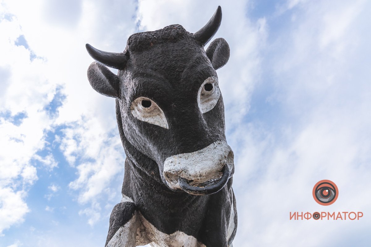 Где в Днепре находится 40-летний железобетонный бык 6