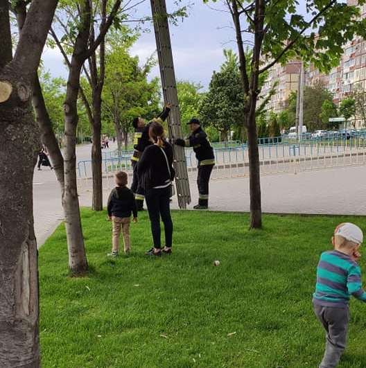 Дети контролировали процесс Дети контролировали процесс