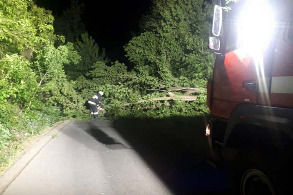 Смена у спасателей прошла активно Смена у спасателей прошла активно