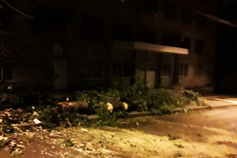 Никто из случайных прохожих не пострадал Никто из случайных прохожих не пострадал