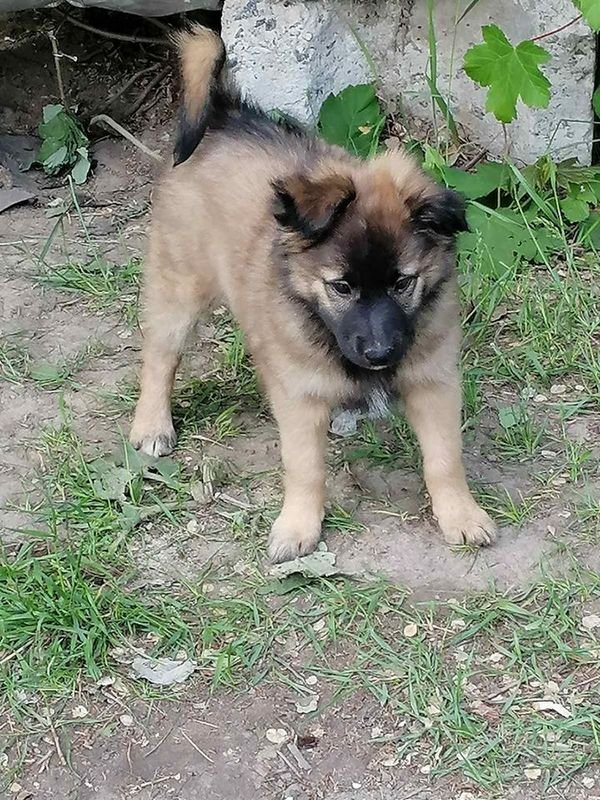 Помимо крова, они лишились и еды