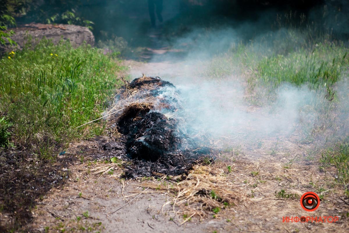 Все началось с кучки сухой травы Все началось с кучки сухой травы
