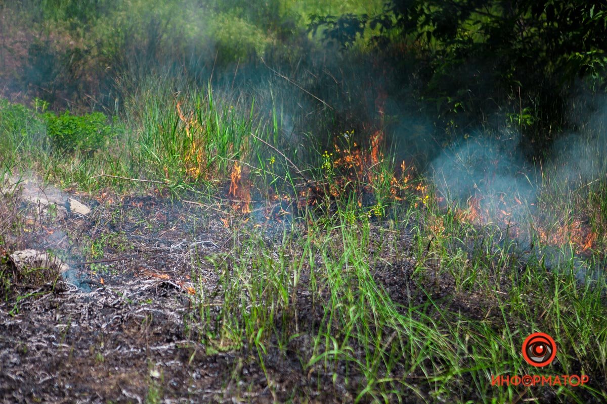 Горела другая растительность Горела другая растительность