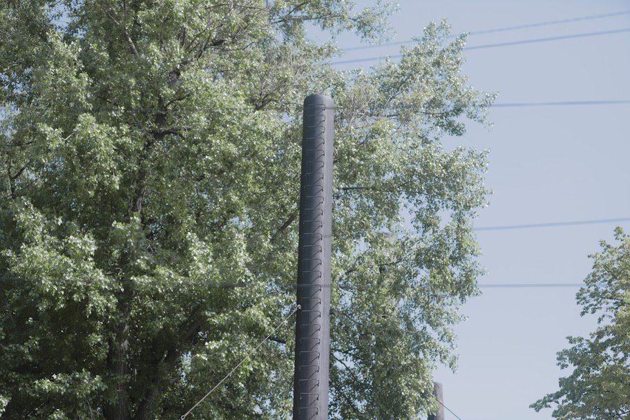 В Днепре удаляют аварийные деревья 1