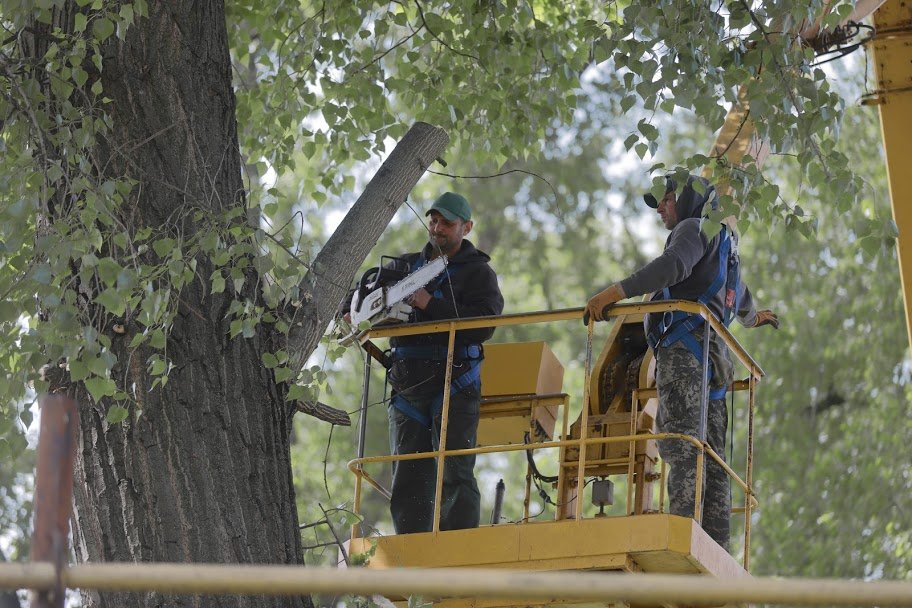 В Днепре удаляют аварийные деревья 2