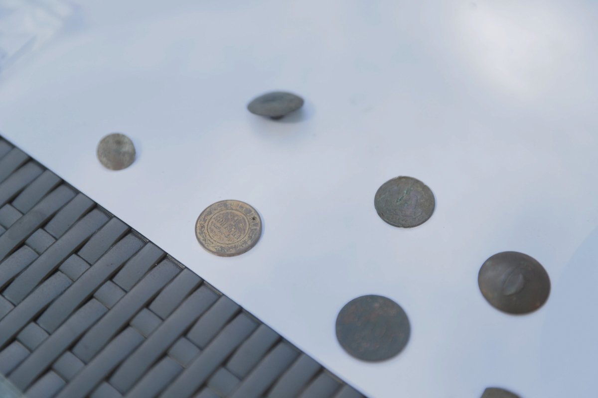 Все гипотезы краеведов будут проверены