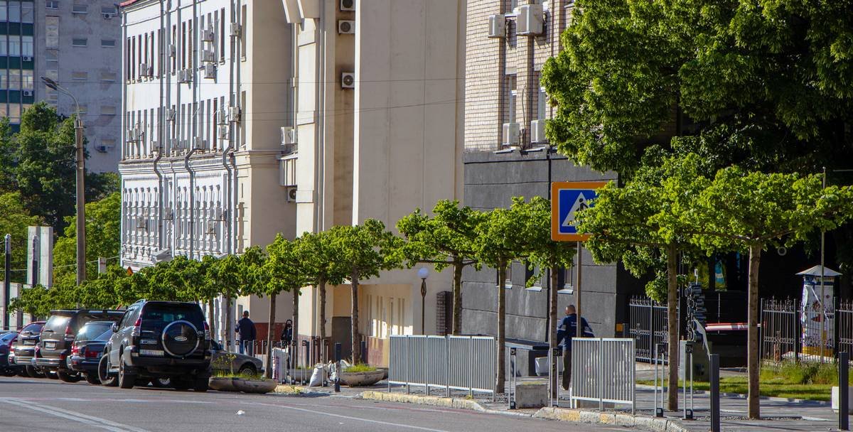 В городе высадили 1900 новых растений