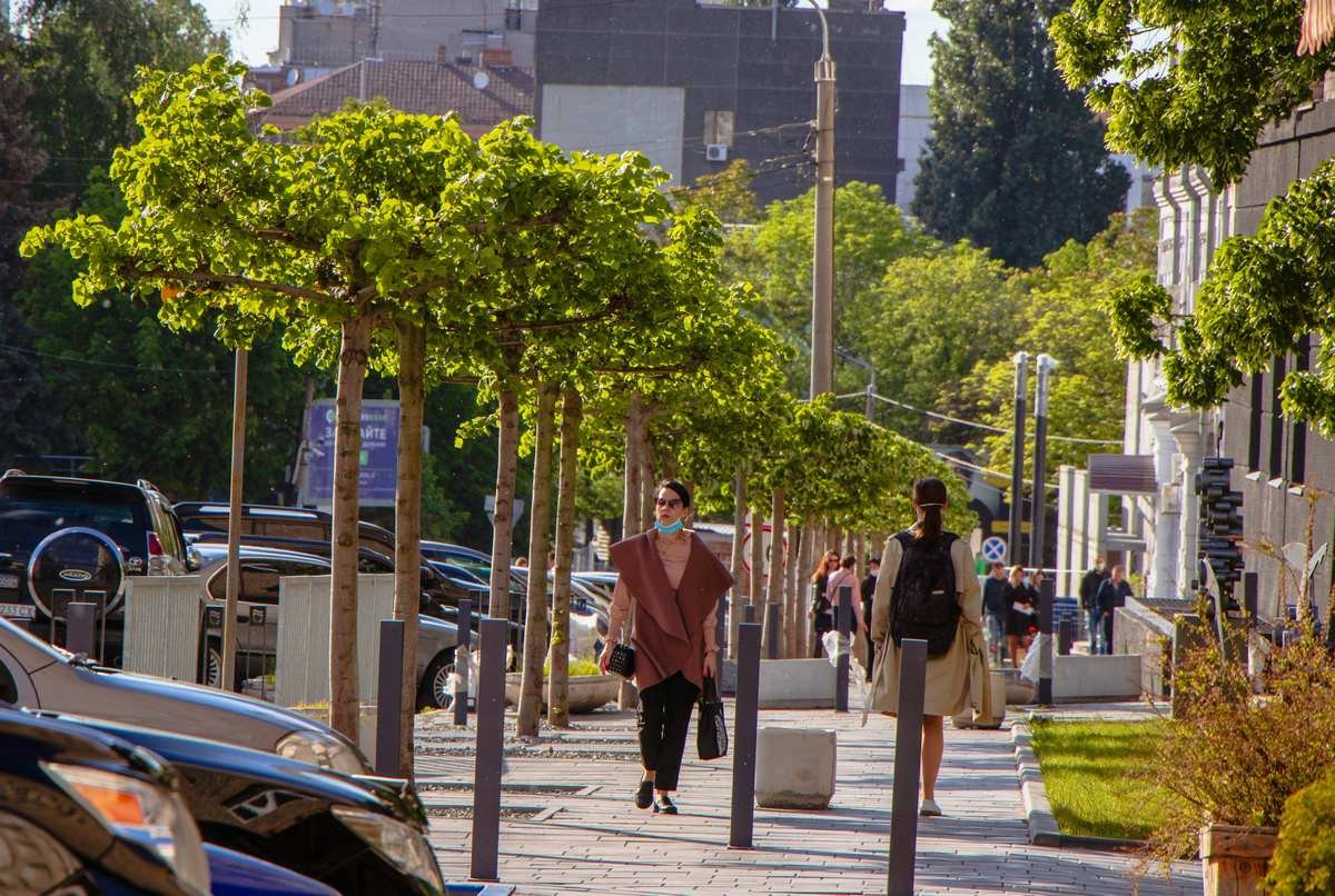 Весенняя высадка деревьев завершилась