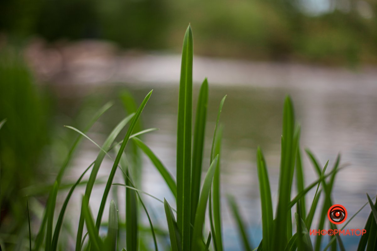Исток реки находится возле села Ефремовка (Харьковская область) и впадает в Днепр возле села Кировское