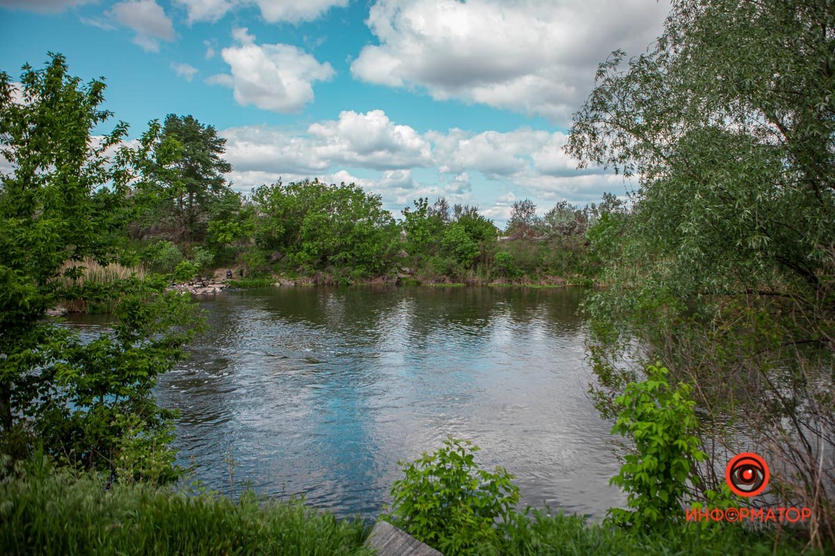  реке водятся сом, лещ, щука, судак, окунь, карась, плотва, налим, вьюн