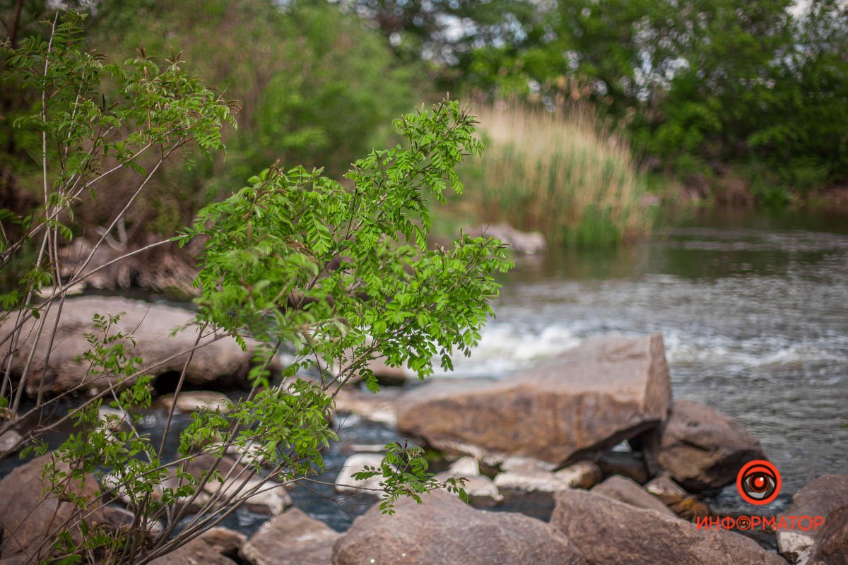 Орель - одна из любимых рек жителей Днепра