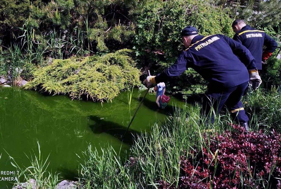 В Днепре во двор к женщине заползли пять змей 1