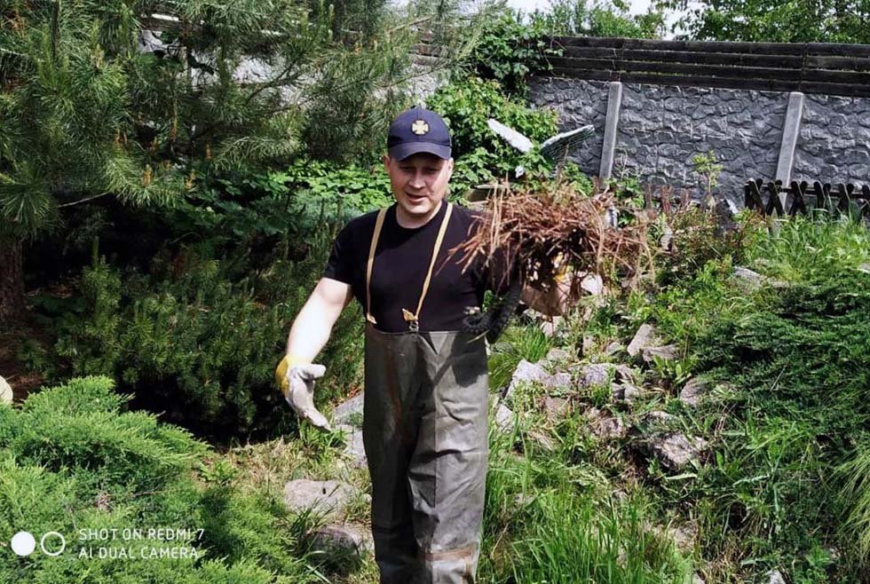 В Днепре во двор к женщине заползли пять змей 3
