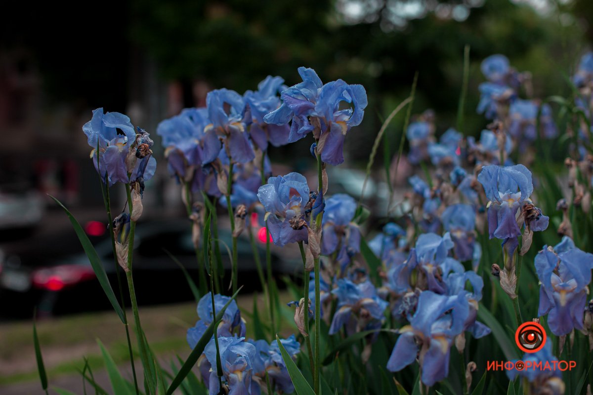 Время для любви