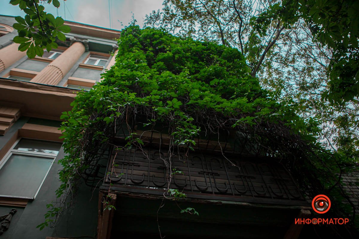 Поднимите голову